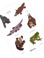 Illustrations of various animals with labels on a white background