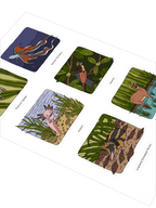 Set of illustrated cards with various animals on a white background