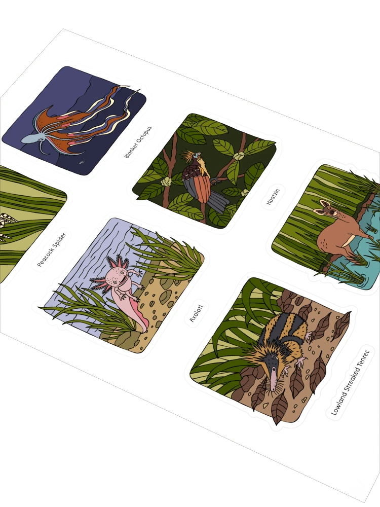 Set of illustrated cards with various animals on a white background