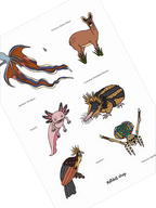 Illustrations of various animals including a blanket octopus, water deer, axolotl