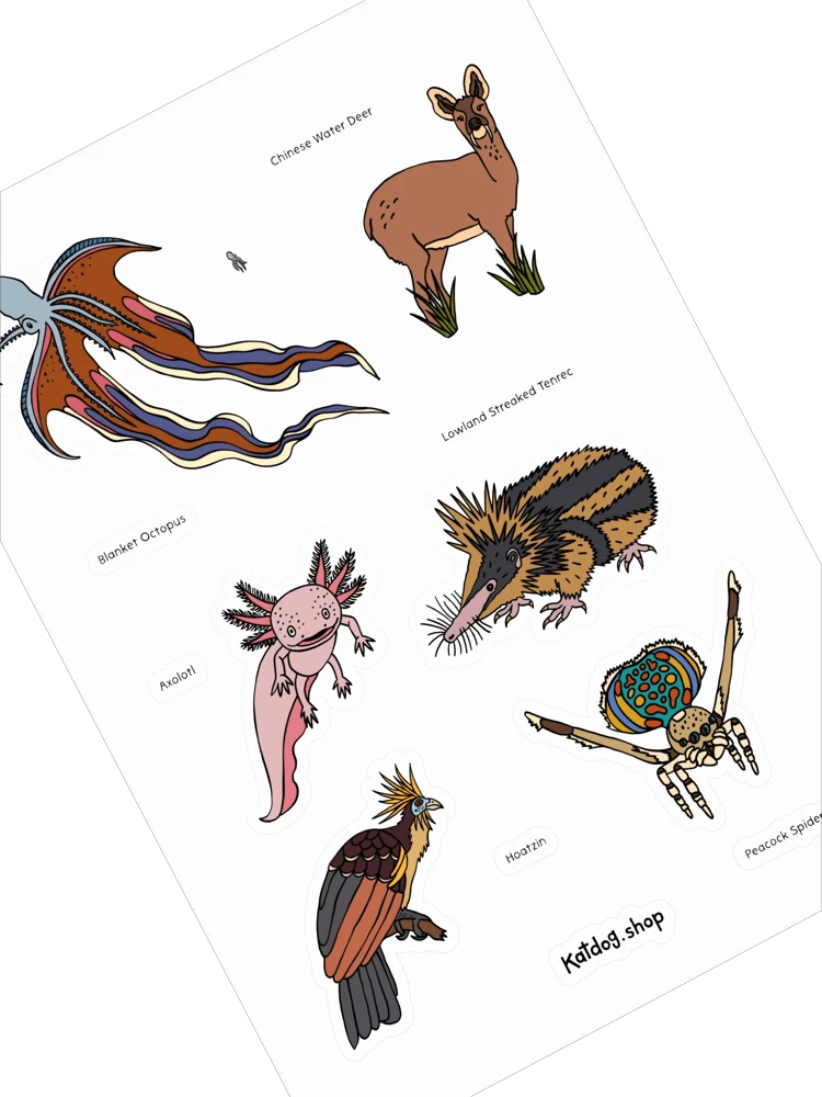 Illustrations of various animals including a blanket octopus, water deer, axolotl