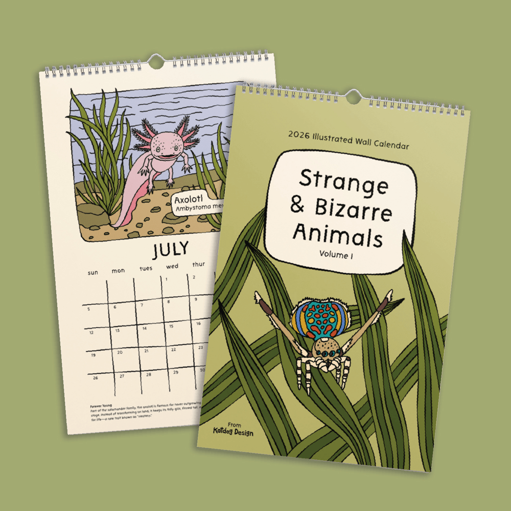 8"x11" Strange and Bizarre Animals 2026 Calendar