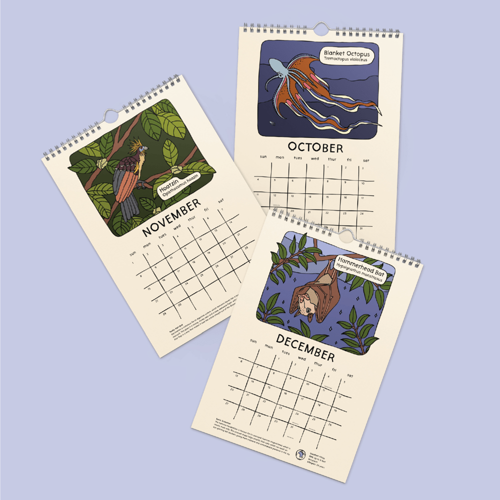 8"x11" Strange and Bizarre Animals 2026 Calendar