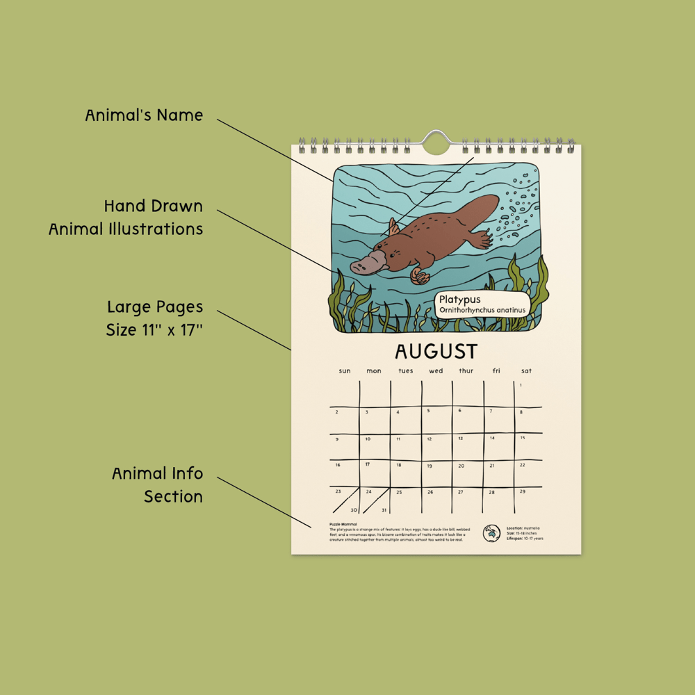 8"x11" Strange and Bizarre Animals 2026 Calendar