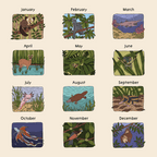 8"x11" Strange and Bizarre Animals 2026 Calendar