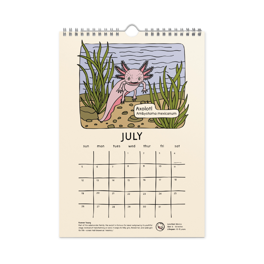 8"x11" Strange and Bizarre Animals 2026 Calendar