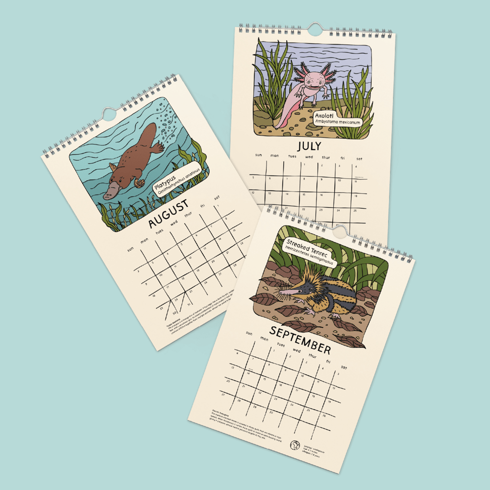 8"x11" Strange and Bizarre Animals 2026 Calendar