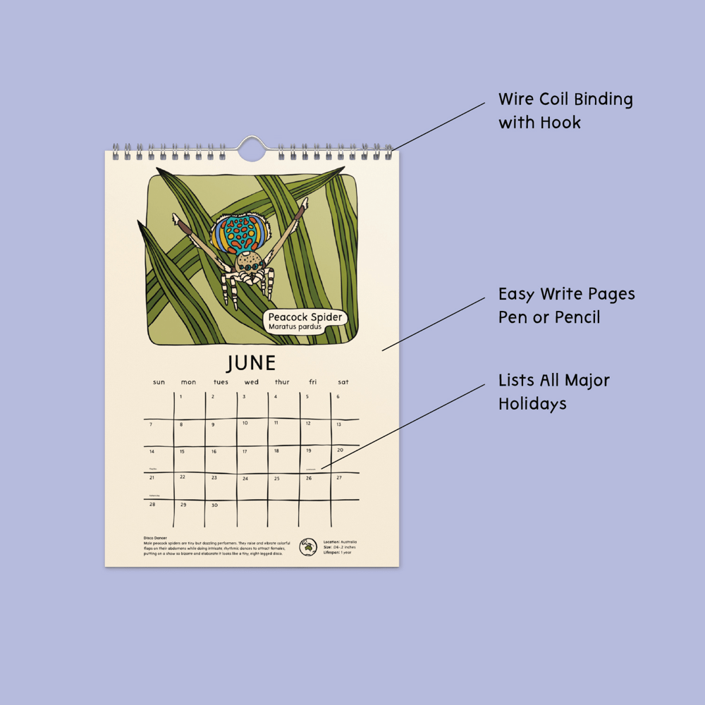 8"x11" Strange and Bizarre Animals 2026 Calendar