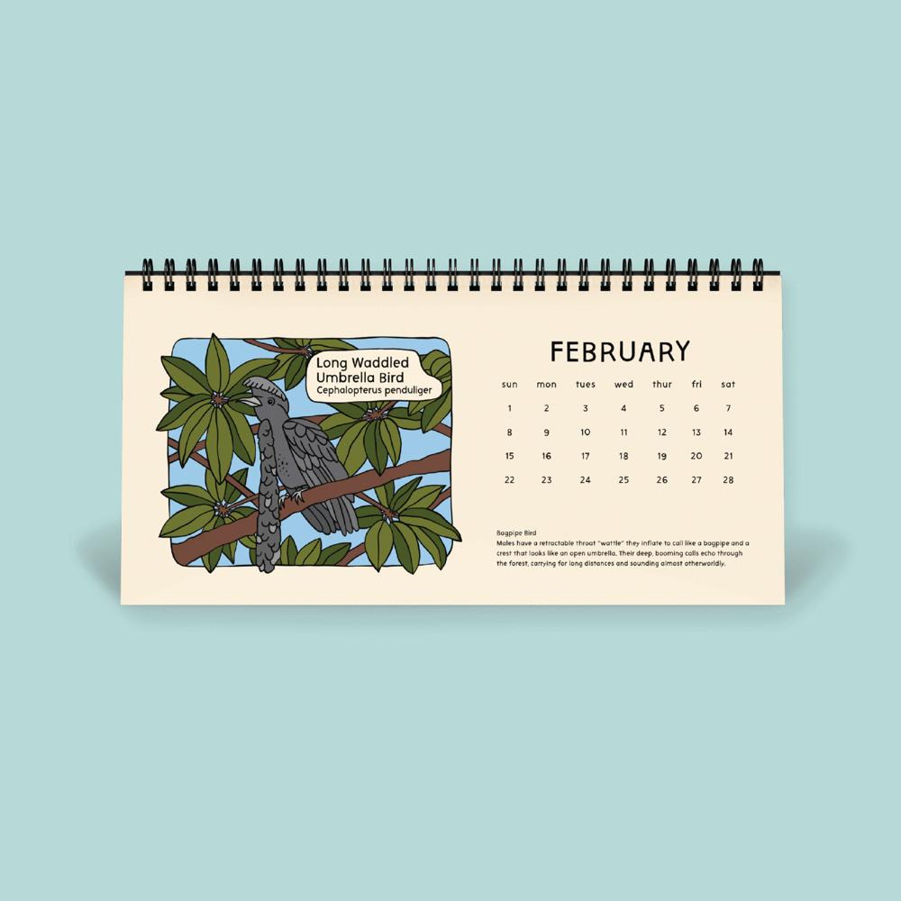Calendar for February with a Long waddled umbrella bird illustration on a light blue background