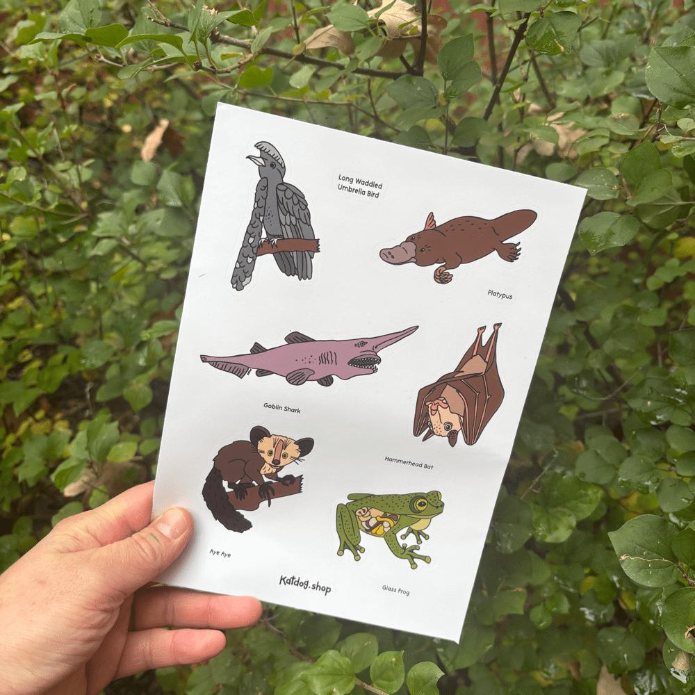 Sheet of animal stickers held by a hand with a green leafy background