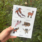 Sheet of illustrated animal stickers held in front of a natural background