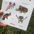Sheet of illustrated creatures held by a hand with a natural background