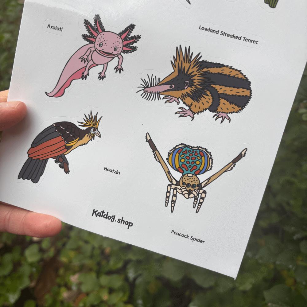 Sheet of illustrated creatures held by a hand with a natural background