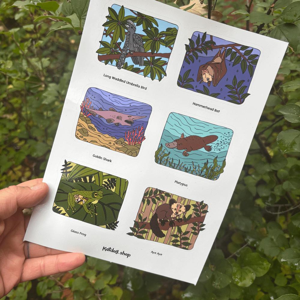 Sheet of illustrated stickers held against a natural background