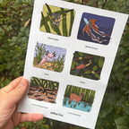 Sheet of illustrated stickers held by a hand with a natural background