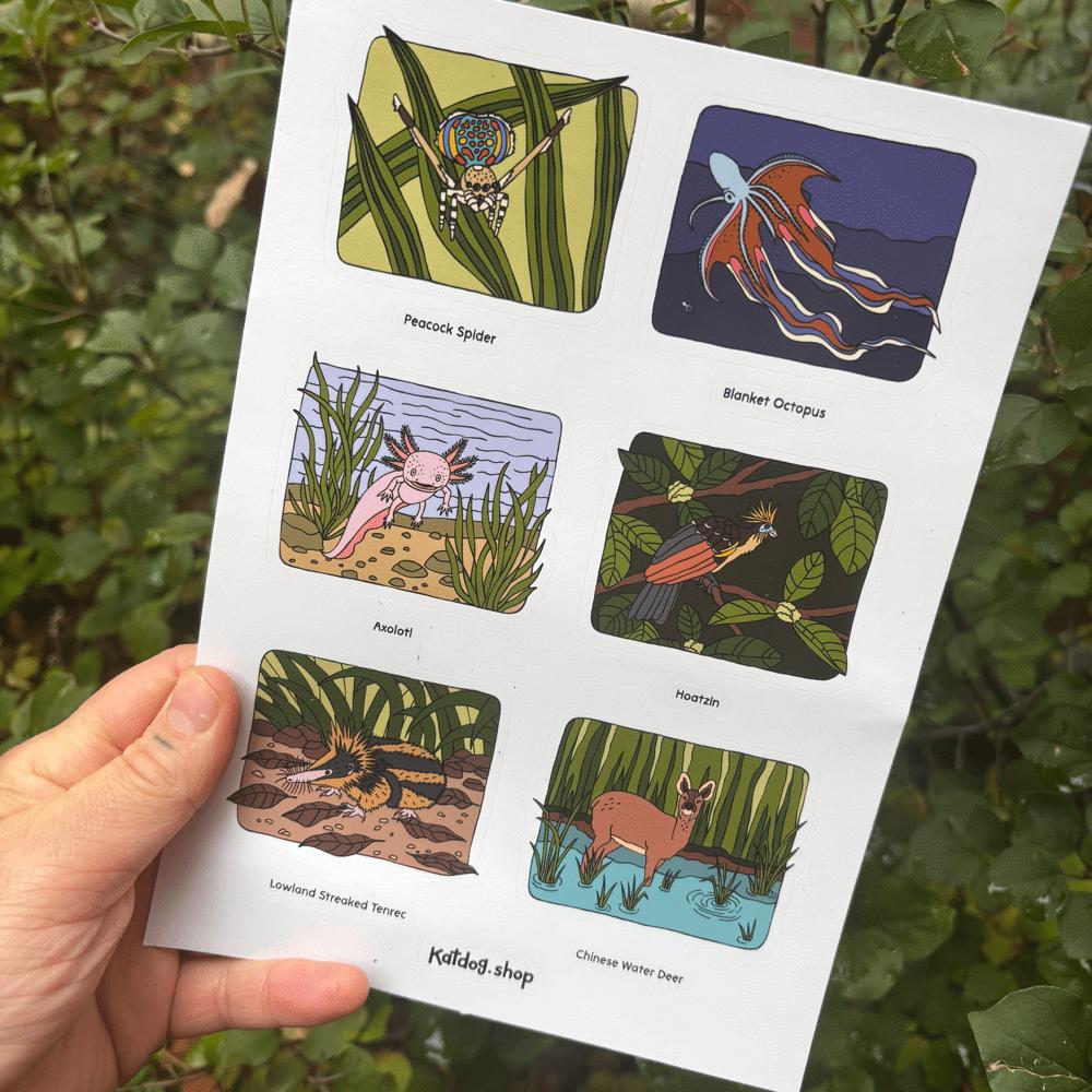 Sheet of illustrated stickers held by a hand with a natural background