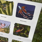 sticker sheet with illustrations of a peacock spider, blanket octopus, axolotl, and hoatzin, against a natural background.