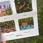 sticker sheet with illustrations of animals and their names, held against a natural background.