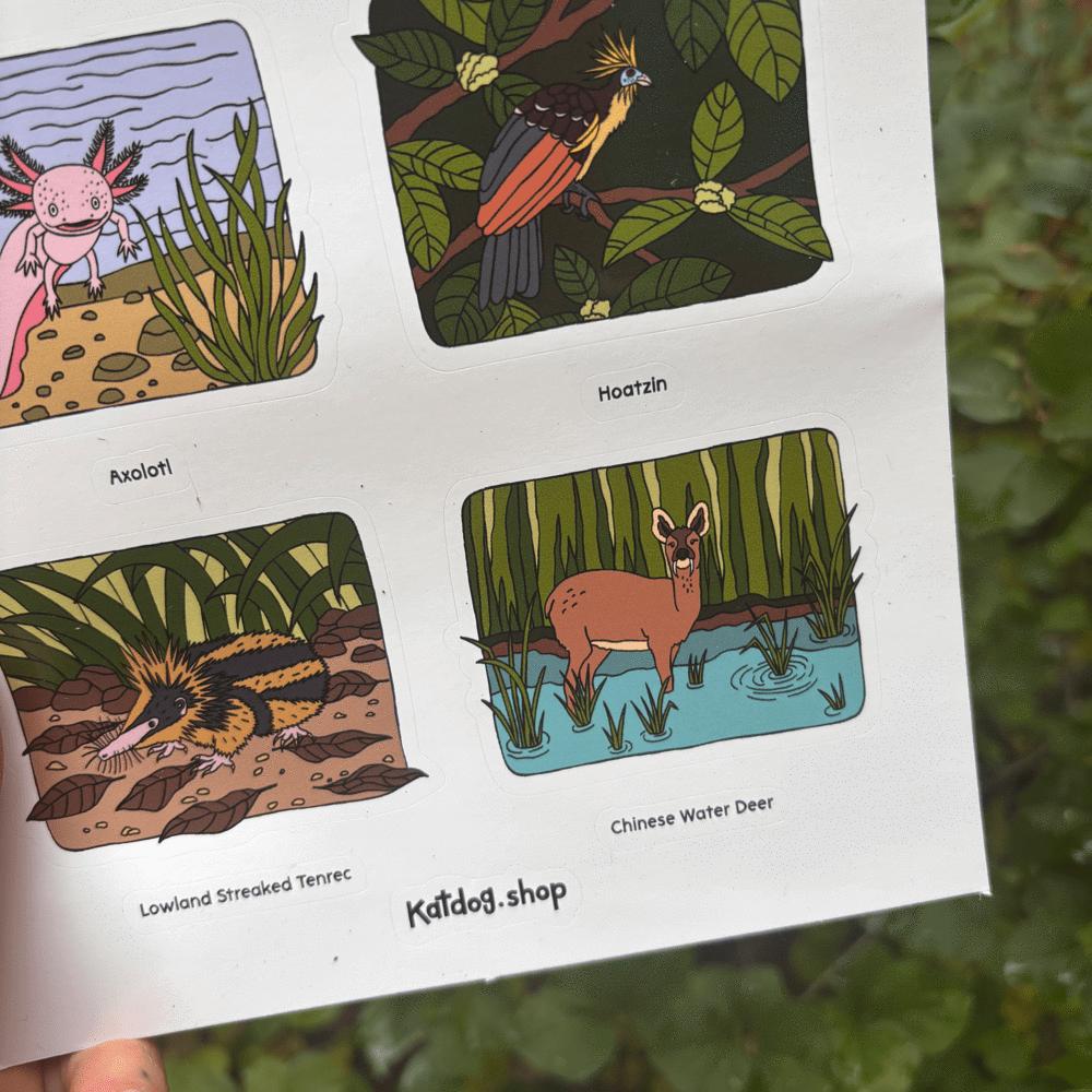 sticker sheet with illustrations of animals and their names, held against a natural background.