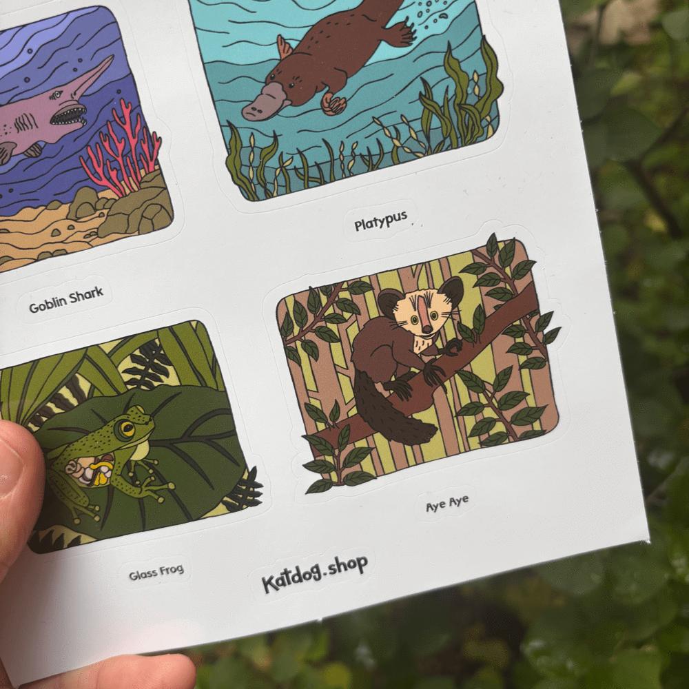 Sheet of illustrated stickers featuring animals like a platypus, goblin shark, glass frog, with 'Katdog.shop' branding.