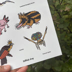 Sheet of illustrated animals held by a hand with a natural background