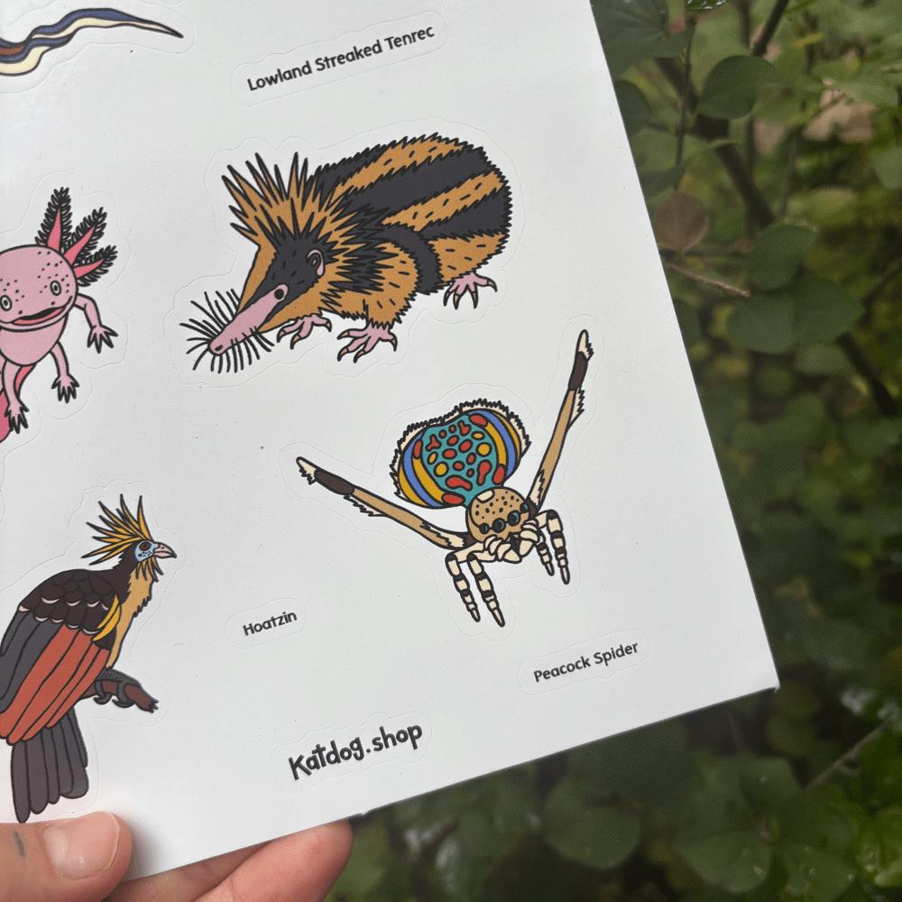Sheet of illustrated animals held by a hand with a natural background
