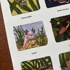 Illustrated stickers featuring various creatures with labels on a white background.