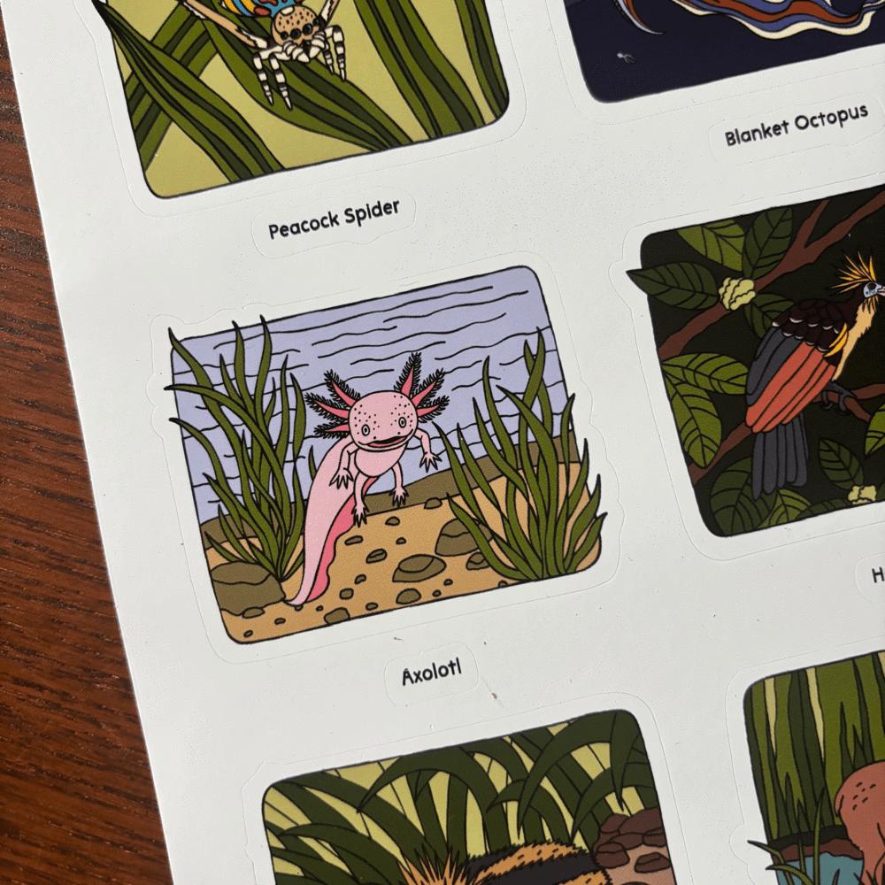 Illustrated stickers featuring various creatures with labels on a white background.