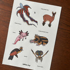 Sheet of illustrations of various animals with labels on a wooden surface