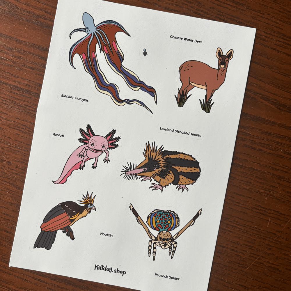 Sheet of illustrations of various animals with labels on a wooden surface