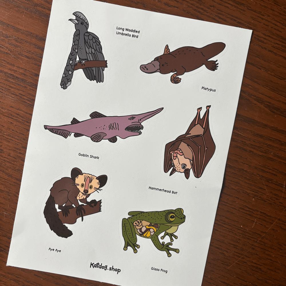Sheet of illustrations of various animals with labels on a wooden surface