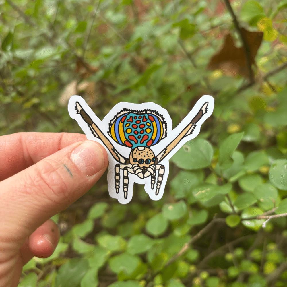 Hand holding a colorful peacock spider sticker with a green leafy background