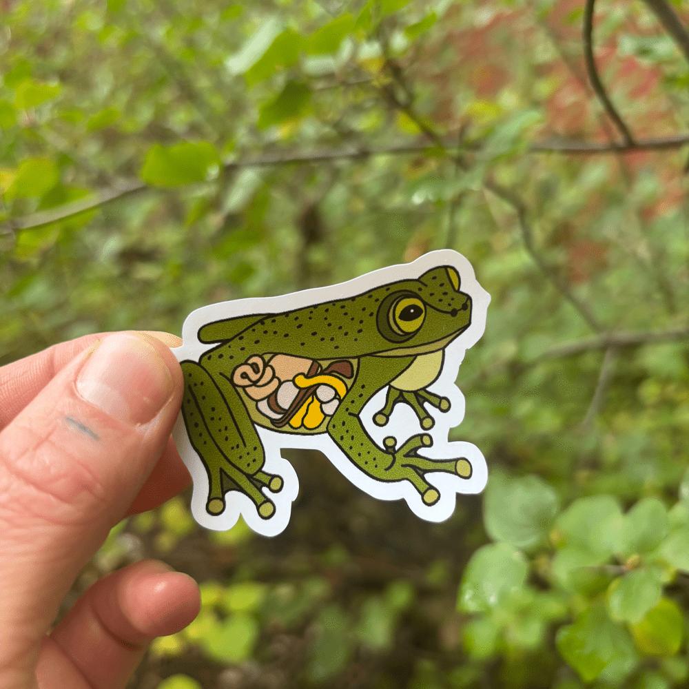 Hand holding a green frog sticker with a blurred natural background