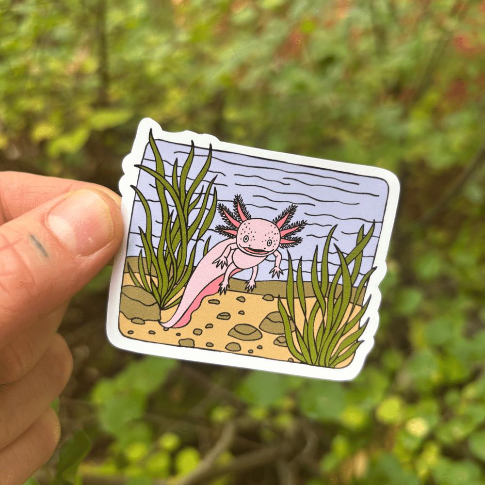 Hand holding a sticker of an axolotl among plants with a blurred green background