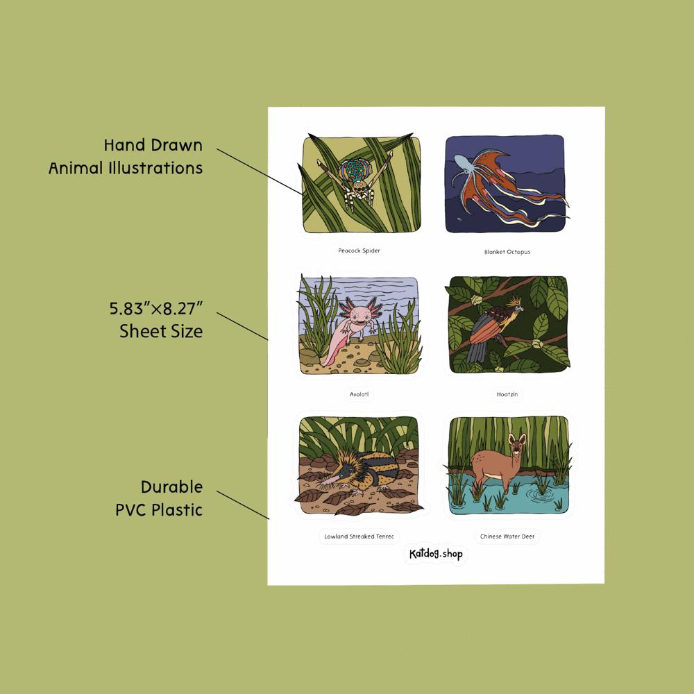 Sheet of hand-drawn animal illustrations with text on a green background