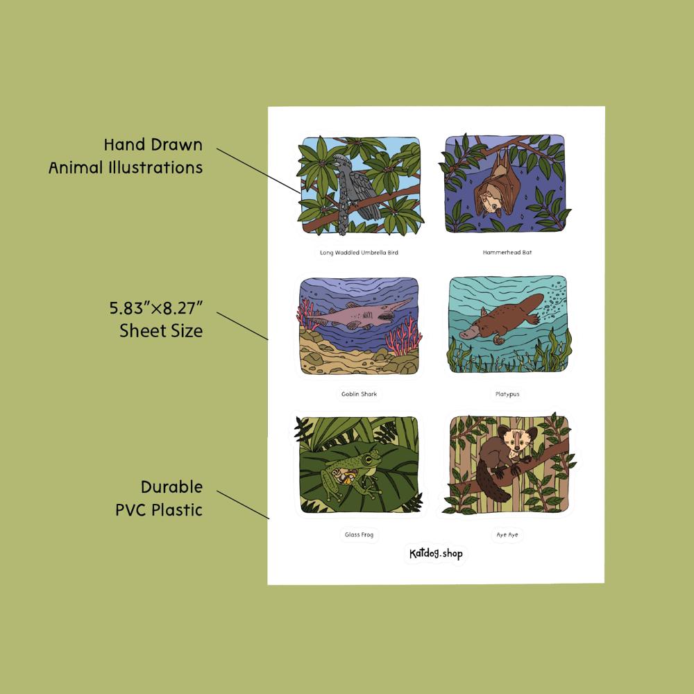 Sheet of animal illustrations with text on a green background