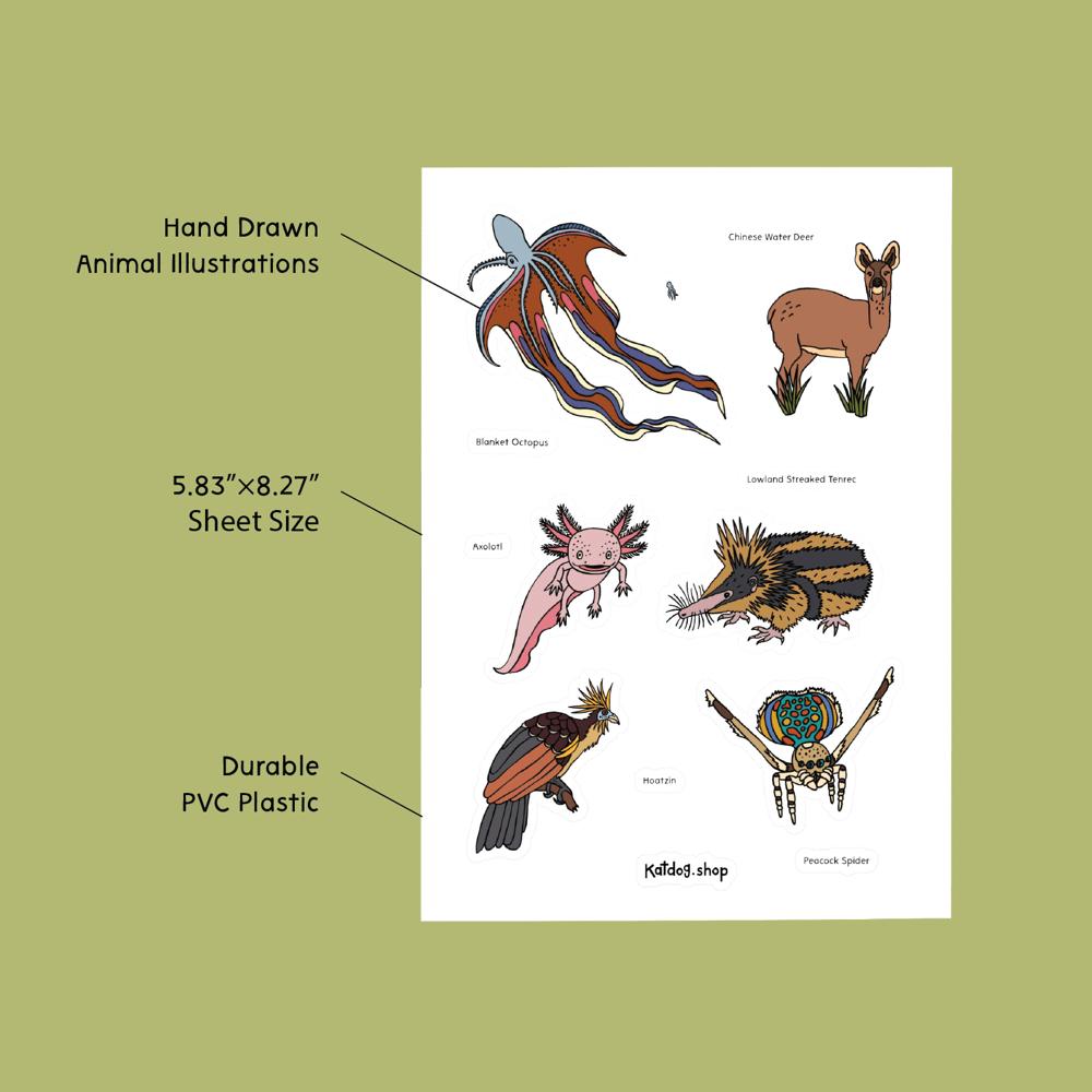 Sheet of hand-drawn animal illustrations with text on a green background