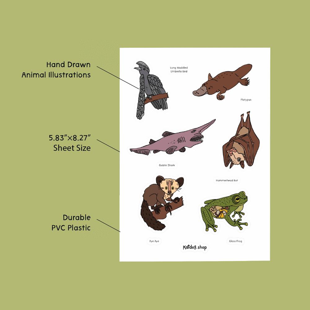 Sheet of hand-drawn animal illustrations with text on a green background