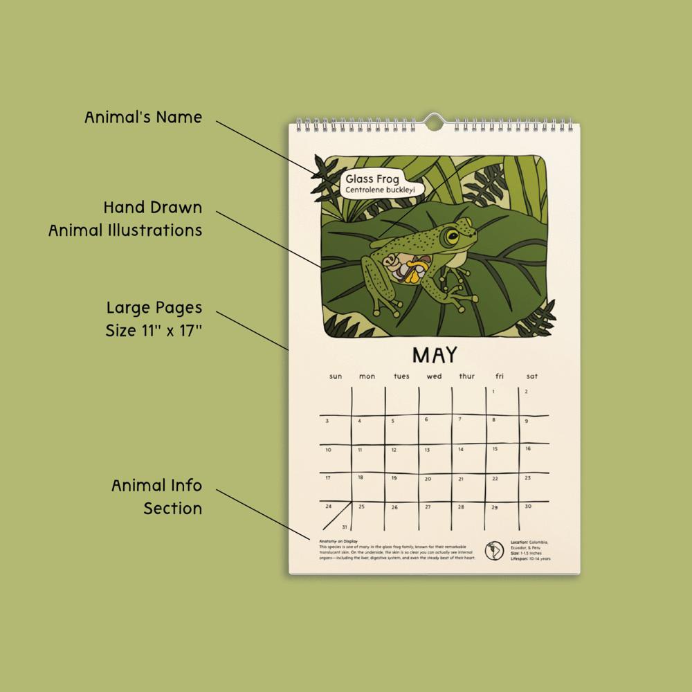 Calendar with glass frog illustration on a green background
