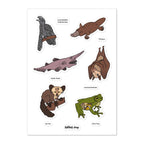 Set of illustrated animals with labels on a white background